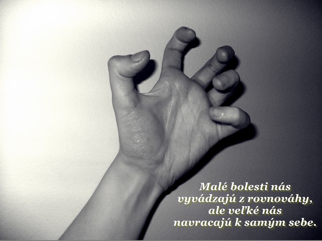 sz01 (4)