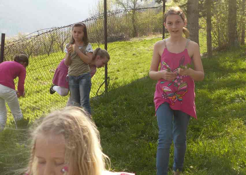P1450088.JPG
