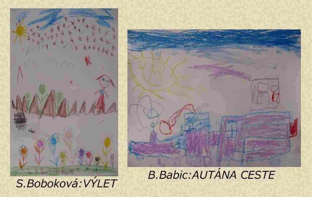 mš (2).jpg