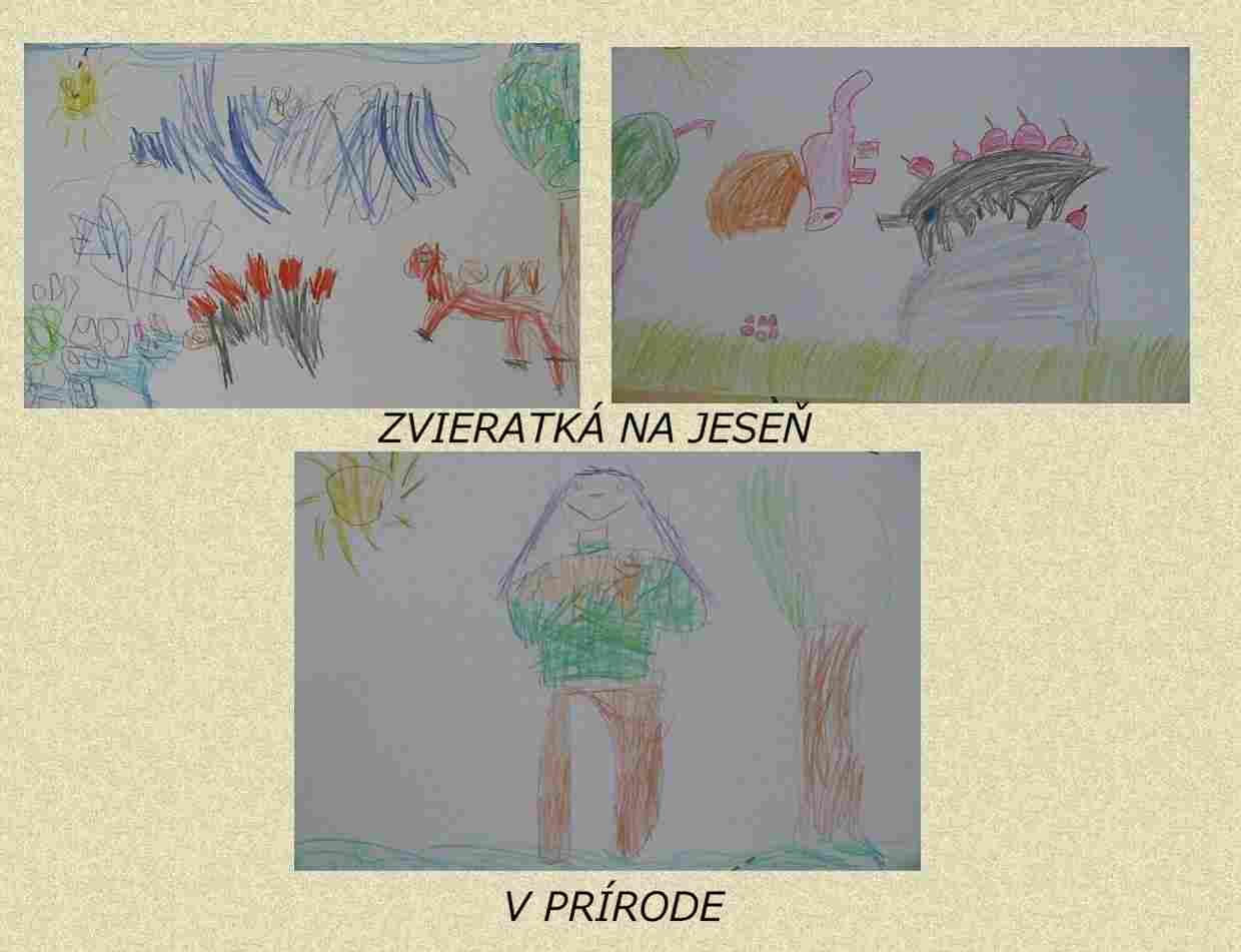 mš (5).jpg