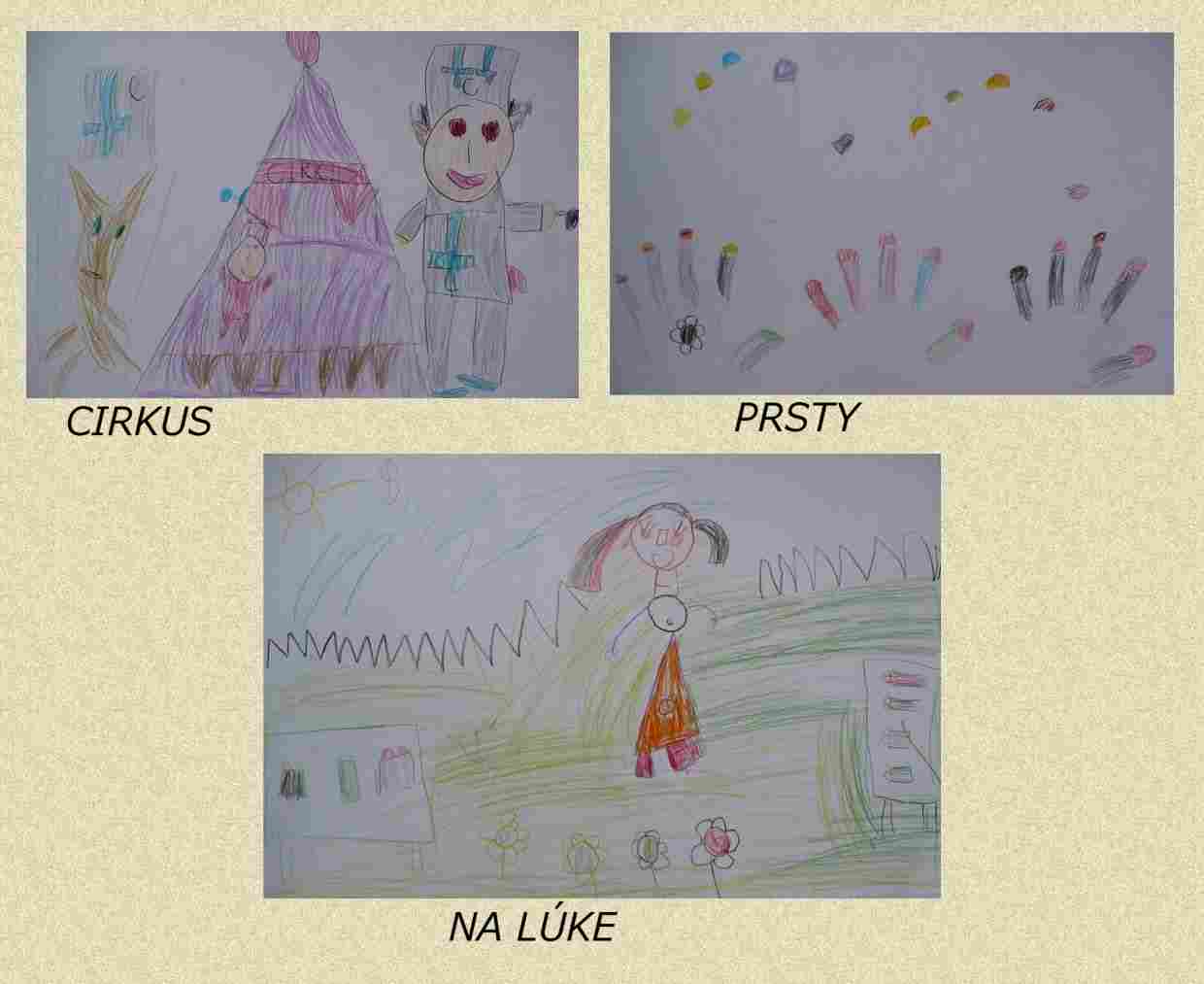mš (11).jpg