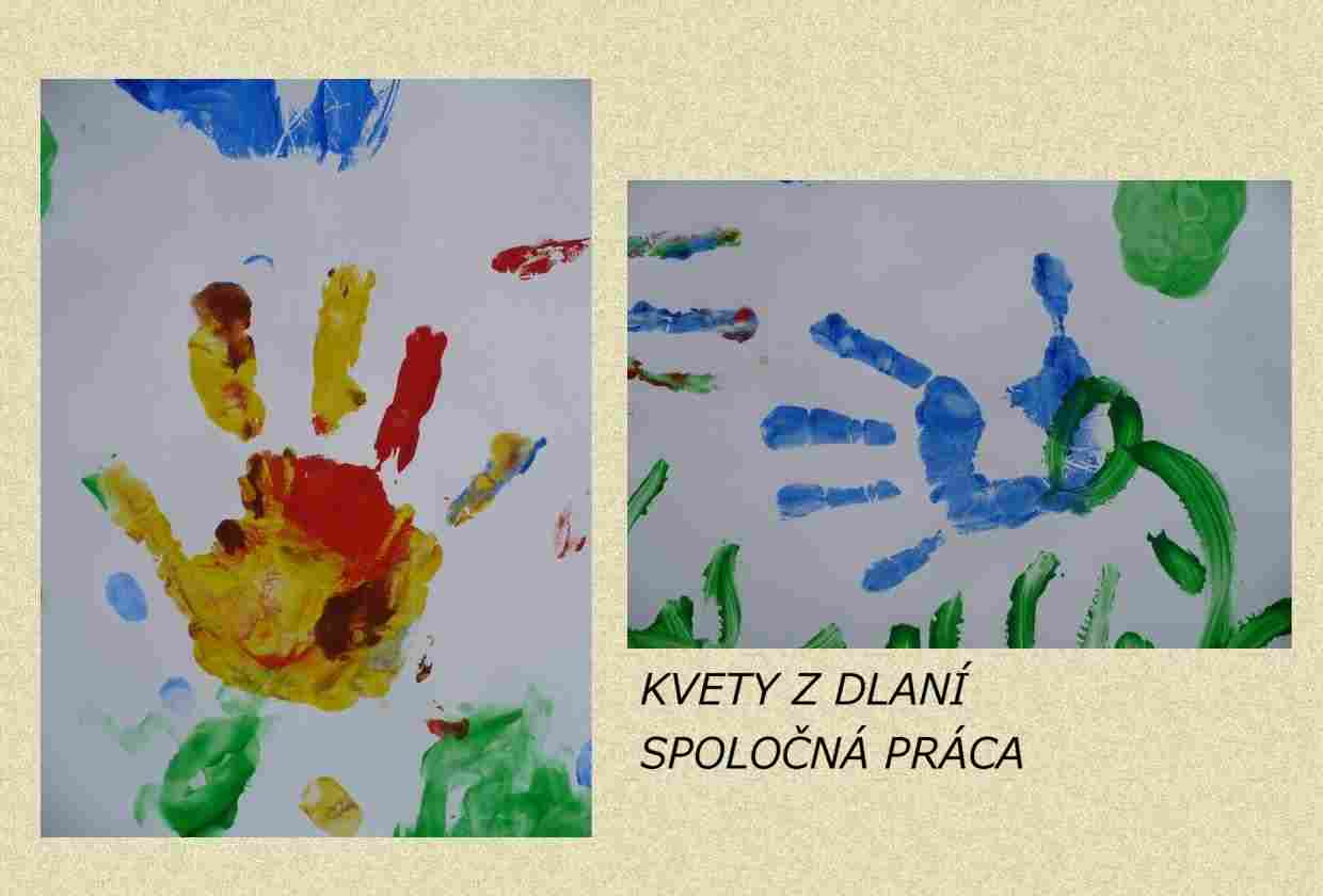 mš (14).jpg