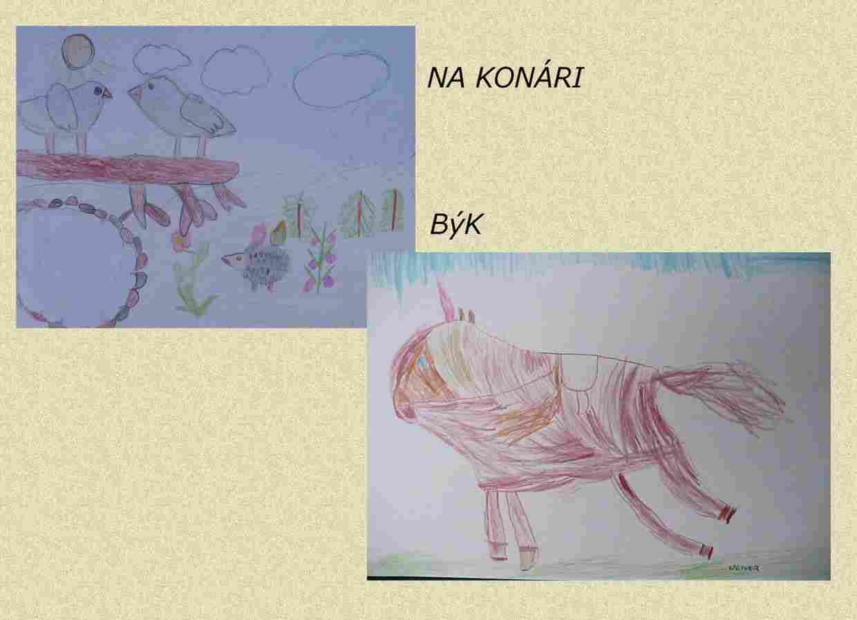 mš (38).jpg