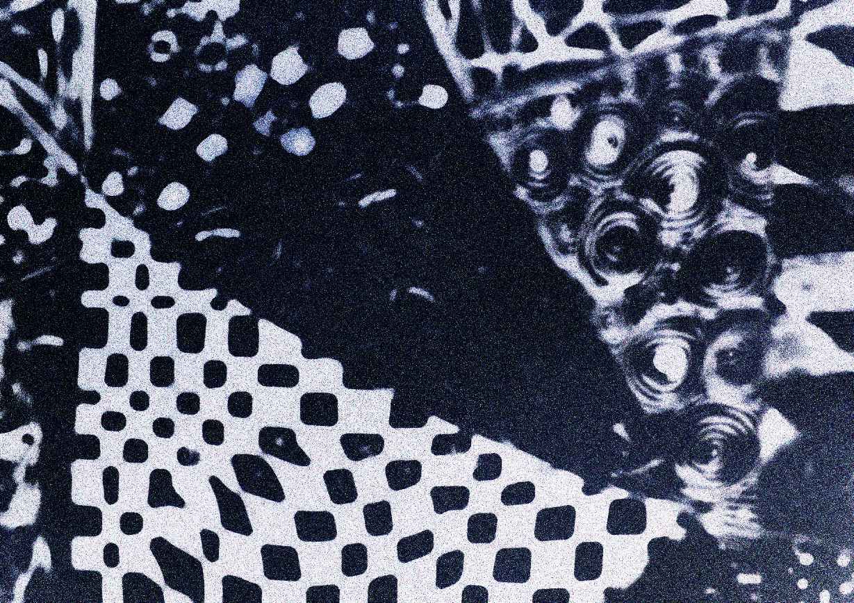 44